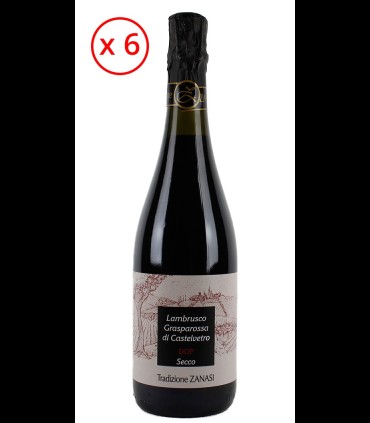 Lambrusco Grasparossa of Castelvetro DOP Sparkling Dry - Zanasi
