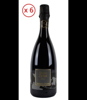 Bruno Zanasi, Lambrusco Grasparossa di Castelvetro DOP Sparkling Dry - Zanasi