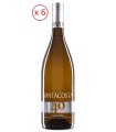 Falanghina sparkling wine IGT Beneventano 2016 - Santacosta x 6
