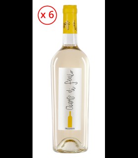 Quarto di Feudo bianco frizzante - Santacosta