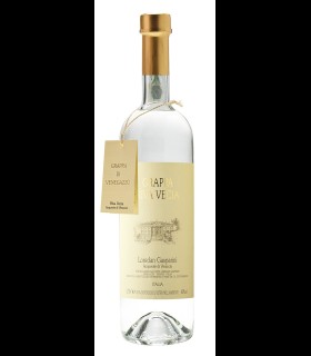 Grappa Riva Vecia in box - Loredan Gasparini