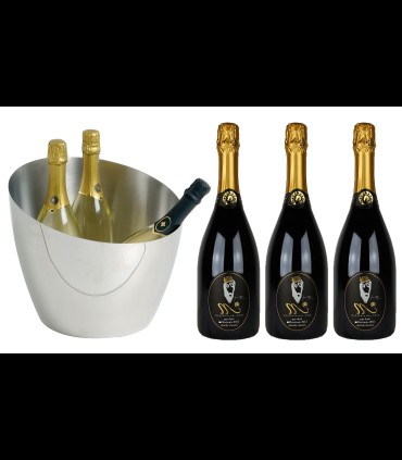 Spumantiera Elipse porta ghiaccio in acciaio inox