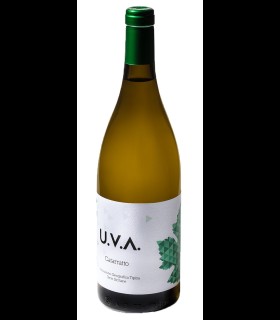 Catarratto Terre Siciliane IGT 2016 - U. V. A.