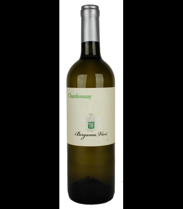 Chardonnay Veneto IGP – Bergamo Vini