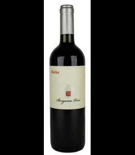 Merlot Veneto IGP – Bergamo Vini