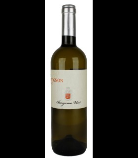 28 Sauvignon Blanc Veneto IGT 2016 – Bergamo Vini