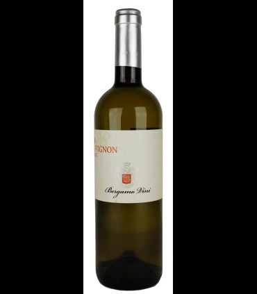 28 Sauvignon Blanc Veneto IGT 2016 – Bergamo Vini