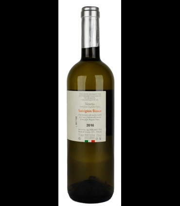 128 Sauvignon Blanc Veneto IGT 2020 – Bergamo Vini X 6