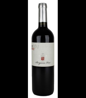 Napi Cabernet Sauvignon Veneto IGP 2018 – Bergamo Vini