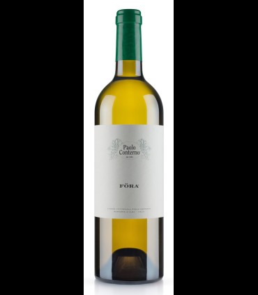 Traminer Föra Piemonte DOC 2017 - Paolo Conterno