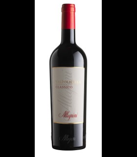 Valpolicella Classico DOC 2019 - Allegrini