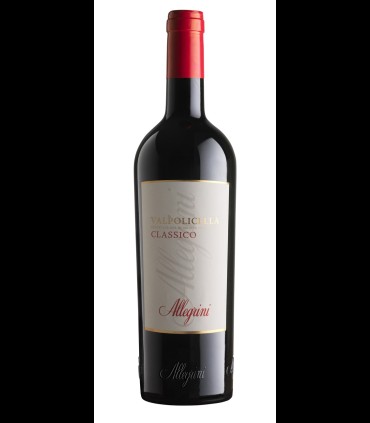 Valpolicella Classico DOC 2019 - Allegrini