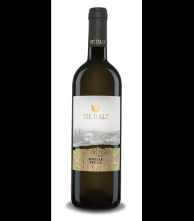 Ribolla Gialla Friuli Colli Orientali DOC 2018 - Vie d'Alt