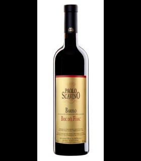 Barolo DOCG Bric del Fiasc - Paolo Scavino
