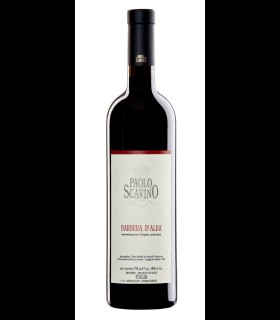 Barbera d’Alba DOC 2023 - Paolo Scavino
