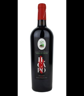 Il Capo Nero di Troia Puglia IGT – Tenuta Attini Domenico x 6