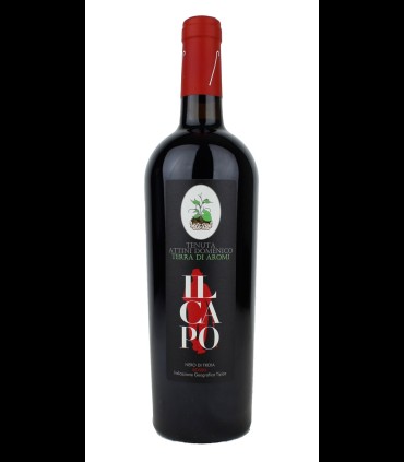 Il Capo Nero di Troia Puglia IGT – Tenuta Attini Domenico x 6