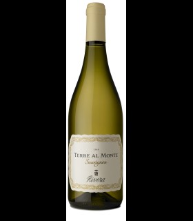 Sauvignon Blanc Terre al Monte Castel del Monte DOC – Rivera