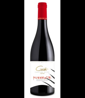 Ruggente Sangiovese IGT - Guidi 1929