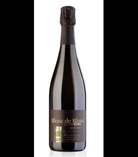 Blanc de Blanc Extra Brut - Dario Coos