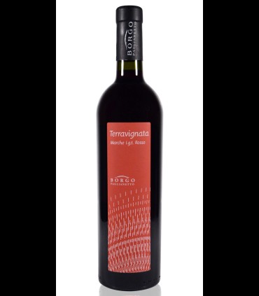 Terravignata Rosso Marche IGT 2018 - Borgo Paglianetto x 6