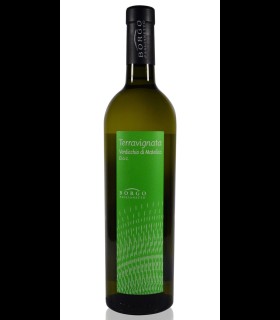 Terravignata Verdicchio di Matelica DOC 2023 - Borgo Paglianetto