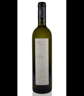 Vertis Verdicchio di Matelica DOC 2021 - Borgo Paglianetto x 2