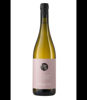 Passerina Colline Pescaresi IGP 2024 - Ciavolich