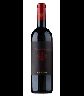 Marciliano Rosso Umbria IGP 2019 - Cotarella