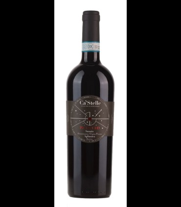 Propileo Aglianico Sannio DOP 2017 - Castelle