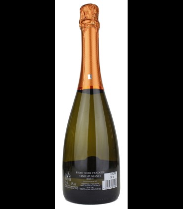 Lebollè Pinot Noir Viognier Spumante Brut - Losito e Guarini