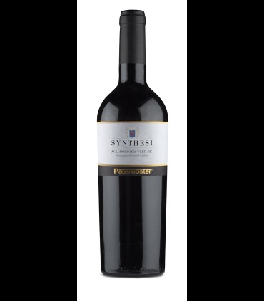 Synthesi Aglianico del Vulture DOC 2020 - Paternoster