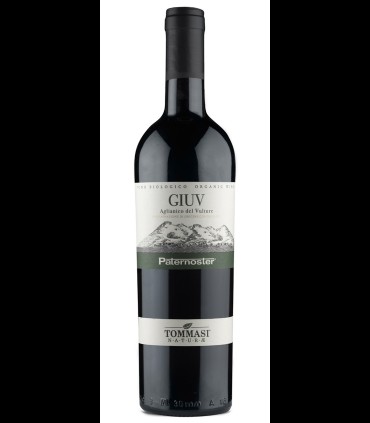 Giuv Aglianico del Vulture Biologico DOC 2018 - Paternoster