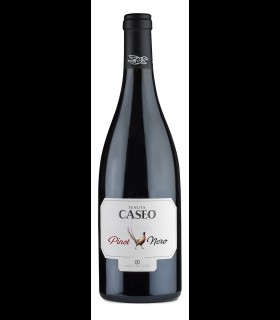 Pinot Nero IGT 2020 - Tenuta Caseo - Tommasi