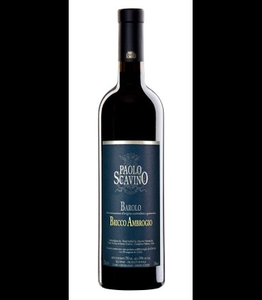 Barolo DOCG Bricco Ambrogio 2021 - Paolo Scavino