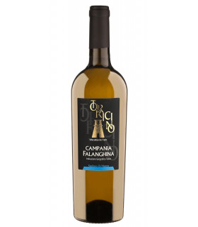Falanghina Campania IGT 2022 - Torricino
