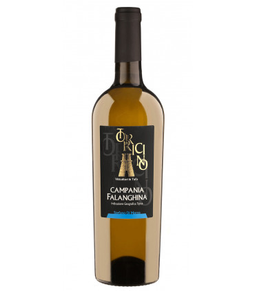 Falanghina Campania IGT 2022 - Torricino