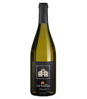 Friulano Colli Orientali del Friuli DOC 2022 - Ca' Tullio