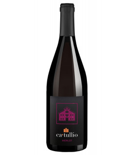 Merlot Colli Orientali del Friuli DOC 2020 - Ca' Tullio