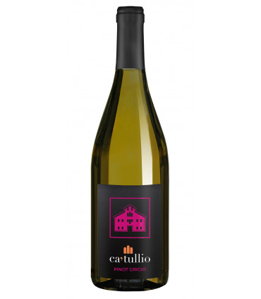 Pinot Grigio Colli Orientali del Friuli DOC 2024 - Ca' Tullio