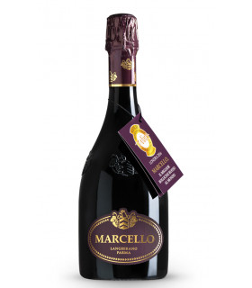 Lambrusco Marcello Gran Cru Emilia IGT frizzante - Ariola