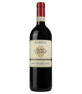 Bussia Vigna Fantini Barolo DOCG 2019 - Silvano Bolmida