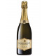 Saten Brut Franciacorta DOCG 2020 - Castello Bonomi