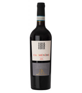 Carménère Piave DOC - Antonio Rigoni