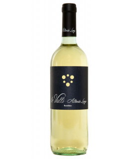 Le Valli Bombino Bianco Puglia IGT 2023 - Alberto Longo