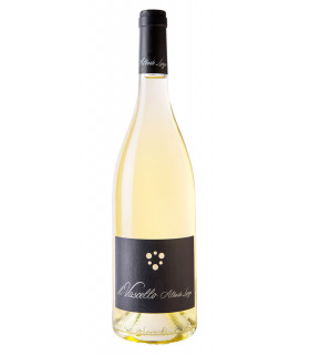 Il Vascello Falanghina Puglia IGT 2022 - Alberto Longo