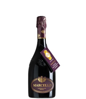 Marcello Gran Cru Mezzina Lambrusco Emilia IGT frizzante - Ariola