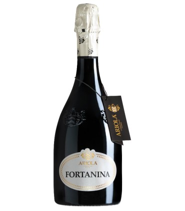 Fortanina Gran Cru Emilia IGP Frizzante - Ariola