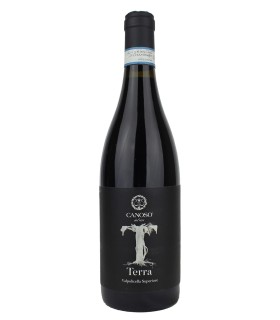 Terra Valpolicella Superiore DOC 2016 - Canoso