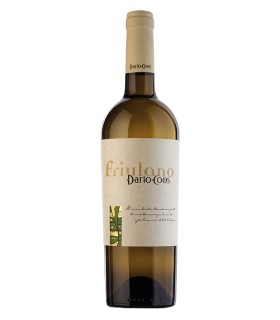 Friulano Friuli Colli Orientali DOC 2024 - Dario Coos